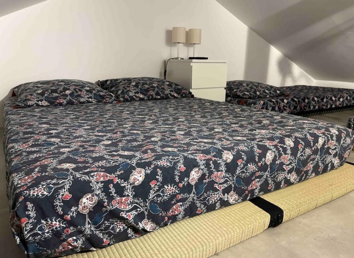 Petit Fare Rochois Avec Mezzanine Appartement La Roche-des-Arnauds