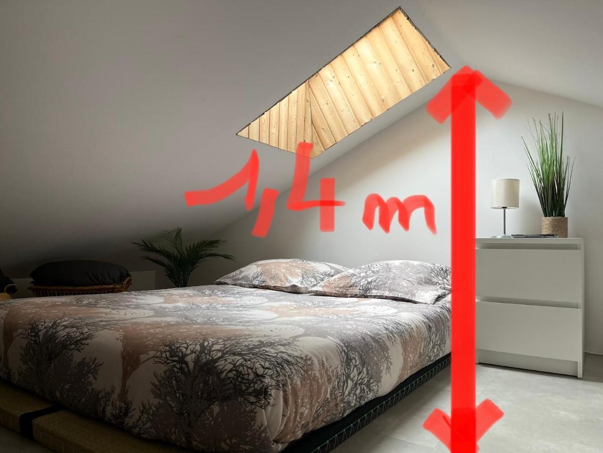 Petit Fare Rochois Avec Mezzanine Appartement
